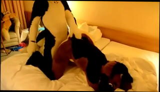 Video 1182523315: gay furry anal, gay furry sex, rough anal sex, round anal