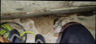 Video 1653781851: pissing underwear gay, big hairy pissing cock, feet cock massage, crossdresser bukkake, pissing teen boys gay, hairy gay cock fucked, pissing boys gay first, big cock handjob pissing, pissing masturbation boys, pissing hunk gay, crossdresser anal masturbation, crossdresser homemade fucked, fuck facial bukkake, crossdresser masturbating high heels, handjob massage indian man, underwear gay first time, men pissing gay first, handsome hairy hunk, pissing gay old men, muscle boys piss, homosexual feet, crossdresser masturbating stockings, pissing boys public, crossdresser huge cock, big hard hairy cock, hd massage fuck, pinoy massage, piss family