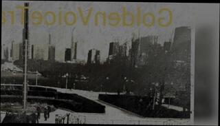 Video 832280403: sexy woman solo, slut solo masturbation, amateur solo sexy, slut solo play, sexy solo female, sexy solo male, whore solo, solo training