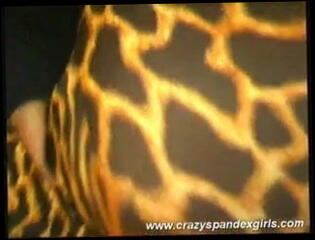 Video 19042101: big tits babe teasing, babe big tits boobs, girl teasing boobs, big boobs spreads, teasing straight