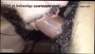 Video 991273505: sucking big dick blowjob, blowjob sucking big cock, gay blowjob big dick, brazil blowjob