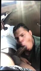 Video 371857801: cock blowjobs black gay, amateur big cock blowjob, big cock guys blowjobs, big black cock head