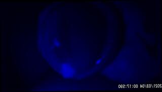 Video 1498445903: amateur interracial creampie, creampie solo, solo male masturbation cum, solo male masturbation cumshot, solo boy handjob, homemade masturbation solo, solo men masturbating, solo home masturbation, young boy solo, solo sperm, old men creampie, solo russian