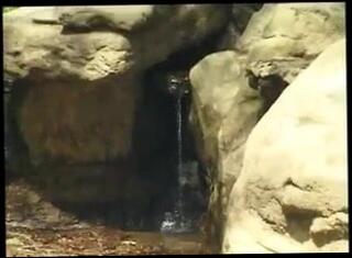 Video 77826601: cock gay porn young, cock blowjob gay, gay blow job, mouth gay porn, old gay cock, man blow job