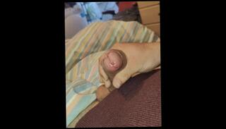 Video 1616708183: solo male masturbation pov, solo male masturbation cumshot, pov handjob cumshot, solo big dick cumshot, cumshot orgasm pov, amateur pov cumshot, pov 60fps, wife cumshot, belly cumshot