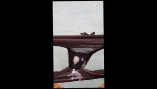 Video 370377501: girl masturbate cum, stockings masturbating cum, cumshot cumming, straight cum, stockings high heels masturbation, cum wearing black, dress cum, stockings lingerie masturbating, wanking