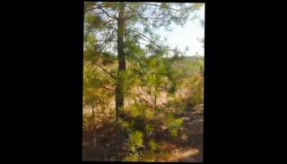 Video 1574832173: solo masturbation handjob, solo big cock masturbation, solo masturbation big dick, solo amateur masturbation, solo male masturbation big, solo public masturbation, solo outside, solo natural
