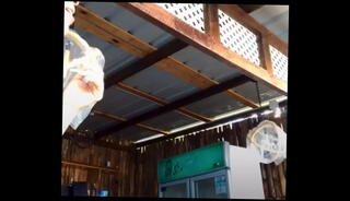 Video 1242822115: pussy twerk, teen twerk, twerking phat, twerking red