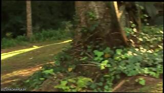 Video 307993225: gay fucking sucking porn, gay sex fuck porn, gay sex porn cum, gay porn anal sex, gay anal sex blowjob, gay outdoor anal fucking, porn public gay sex, fucks climaxes