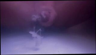 Video 1578143423: solo masturbation squirting orgasm, teen solo masturbation squirt, pov squirting orgasm, solo squirt amateur, solo male masturbation pov, pov solo cumshot, huge squirt solo, big squirt solo, pov big dick cumshot, solo masturbation huge cock, solo teen masterbates, squirting orgasm close, women squirting, squirt slow, amateur teen masturbating, takes cum shot, cum underwater, one cum