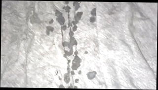 Video 510077201: skinny big cock, cumshot skinny, skinny masturbation, skinny handjob, skinny gay, skinny amateur, hd skinny, big cock training