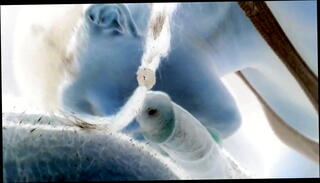 Video 72011885: homemade blowjob sex, amateur homemade sex, homemade ebony sex