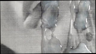 Video 1518260801: sperm slut, sperm cum, man gay, gay hd