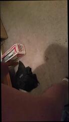 Video 188606301: gay ass cum, ass play cum, ass cums hard, gay man cum