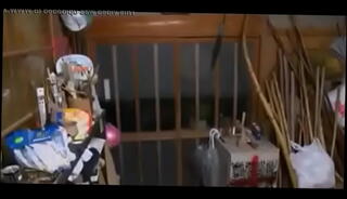 Video 1228113355: japanese milf cheating, cheating asian milf