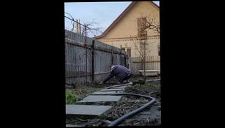 Video 1508949103: amateur