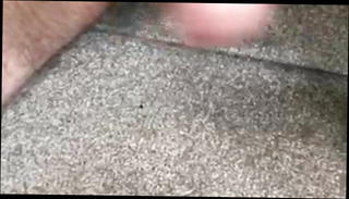 Video 1049410101: gay cock wanked, amateur wanks cock, gay big cock masturbate, cock jerking, wanking stiff, shaved cock