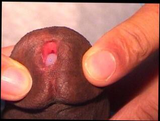 Video 1596115323: pov interracial bbc, solo male masturbation pov, bbc solo cumshot, amateur interracial bbc, male pov pee, interracial bbc big, pov big dick cumshot, hole masturbates solo, ebony bbc cumshot, hole sperm, sperm close