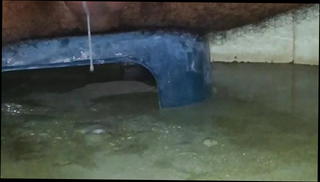 Video 1483198001: dick cum shot, dick huge cumshot, shot gay, man gay, gay hd