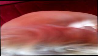 Watch the video about Serbian Milf