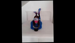 Video 1588233533: fetish solo masturbation, solo masturbation orgasm teen, amateur teen solo masturbation, solo trans masturbation, masturbation solo vibrator, solo trans cumshots, solo vibe, college teen solo, mask solo, cosplay fetish, amateur teen masturbating, cute trans girl