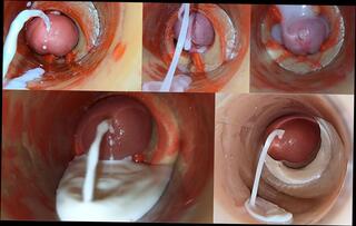 Video 1654018421: twink sissy femboy cum, bbc anal creampie compilation, sissy crossdresser compilation, sissy bareback compilation, bbc gangbang compilation, ass femboy sissy gay, gay sissy boy crossdresser, anal creampie compilation sex, amateur creampie cumshot compilation, best creampies cumshot compilation, big cock bareback compilation, sissy femboy masturbate, sissy crossdresser toying, black femboys sissys, bear creampie compilation, creampie compilation close, creampie compilation hd, man cum compilation, femboy screams