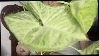 Video 1617553855: piss pee slut, pissing peeing girls, chubby girls peeing, shower peeing piss, chubby step sister, pee humiliation, sister oil, chubby big tit slut, daughter mom sister, chubby big tits amateur, amateur piss couple, natural tits step sister, chubby big tit latin, curvy oiled girl, chubby girl belly, chubby thighs, woman pee, women peeing, chubby tattooed girl, pornstar piss, pee first time, european step sister, sister family, humiliation rough, big tits wiggle, spain mom, thigh highs