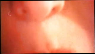 Video 238802001: vintage orgy, teen group sex orgy, german group sex orgy, orgy straight, hole orgy, titty sex