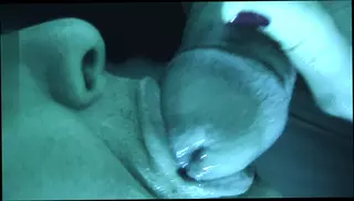 Video 1575558141: amateur blowjob creampie couple, husband creampies wife, couple homemade creampie, big cock blowjob creampie, creampie sucking cock, amateur cum creampie, desi wife creampie, creampie balls, hot wife creampie, creampie cum mouth, creampie orgasm, creampie straight, great creampie, short creampie, italian creampie, creampie close, creampie hd