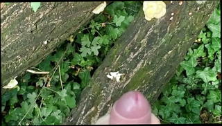 Video 1571635921: gay twink jerking, amateur twink jerking, twink jerking outdoor, gay twink public, gay italian twink, gay twink hd, public park jerk