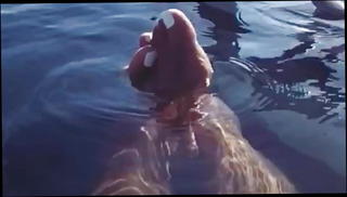 Video 1151772801: big titted booty ass, fat ass booty, nice ass booty, big ass black booty, big booty straight, hd big booty, nipples nice ass