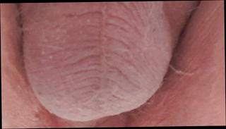 Video 1405473101: ass closeup, gay ass anal, amateur anal ass, gay ass bear, fat ass anal, ass anal hd