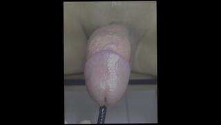 Video 1580128313: dick solo masturbating cumming, solo cock masturbation cum, solo male masturbation cum, solo male masturbation cumshot, solo masturbation handjob, solo big cock masturbation, solo masturbation porn, solo masturbation toy, solo amateur masturbation, japanese solo masturbation, asian solo masturbation, solo masturbation hd, solo male sounding, fast solo, insertion solo, cock sounding urethral toy