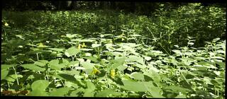 Video 1653224131: crossdresser sissy fucks dildo, crossdresser sissy ass fucked, crossdresser anal fuck dildo, crossdresser anal dildo toy, sexy milf dildo fuck, dildo fucking amateur milf, sissy crossdresser trans, dildo blowjob sissy training, sissy crossdresser shemale, big ass sissy crossdresser, sissy crossdresser cum, crossdresser dildo masturbation, sissy crossdresser cock, milf fucks huge dildo, dildo beautiful milf cum, hot milf dildo fuck, vintage milf fucking, vintage milf sex, mature crossdresser dildo, young sissy crossdresser, sissy fucking sexy girl, milf ass fucked cumshot, shemale crossdresser guy fuck, milf ass fucked outdoor, vintage couple fucking, crossdresser masturbating high heels, stockings fuck huge dildo, anal dildo hd, dildo load