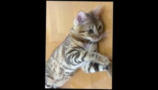 Video 1580488213: solo masturbation squirting orgasm, squirting pussy creampie, creampie cum squirting, squirting anal creampie, fetish solo masturbation, solo female squirt, hentai squirt, wet pussy squirting orgasm, creampie cum inside pussy, hentai pussy licking, tits squirting pussy, small tits solo masturbation, pussy eating squirting, cute pussy creampie, pussy loves creampie, hentai missionary, hentai 60fps, creampie hungry, pussy play