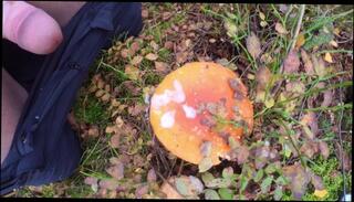 Video 1574405533: solo male cumshot compilation, solo masturbation compilation, solo cum compilation, amateur handjob cumshot compilation, dick solo masturbating cumming, moaning cumshot compilation, amateur public handjob compilation, massive solo cumshot, cumshot cumpilation, compilation multiple cumshots, load cumshot compilation, first cumpilation, outside compilation