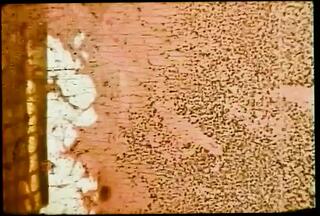 Video 1588471231: vintage retro porn, vintage hardcore retro, american porn vintage experience, best vintage porn experience, vintage porn story, vintage straight, good vintage, hard vintage, porn head