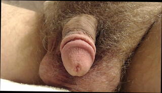 Video 1596303045: hairy dick balls, hairy cock balls, hairy penis, small hairy dick, penis close