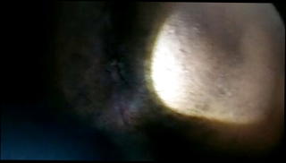 Video 1568257841: amateur anal ass, gay ass anal, amateur black ass, black american gay, ass play