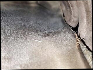 Video 1621570721: sister fetish, uncut cock masturbation cum, sister masturbate fuck, uncut cock cumshot, uncut cock gay, uncut cock play, uncut latino cock, uncut cum close, sister's shoes, american sister, sister hd, play dirty