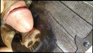 Video 1014172155: solo piss, pissing boy, pissing precum