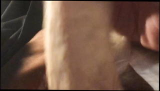 Video 970781801: cock sucking beauty, gay man sucking, delicious cock, handsome cock, suck hd