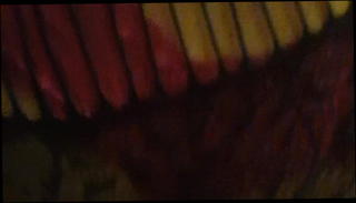 Video 1083168701: bareback pov cock, pov bareback fuck, pov anal bareback, shemale fucks guy bareback, fucks huge cock pov, bareback fucking big cock, amateur shemale bareback, fucking bareback hd, pov lingerie fuck, trap bareback, stockings bareback