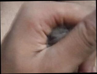 Video 1581092911: gay creampie boy, big cock blowjob creampie, cock creampie cumshot, big black cock creampie, gay asian creampie, handjob creampie, creampied masturbation, indian creampie, desi creampie, creampie hd, gay boy cock cum