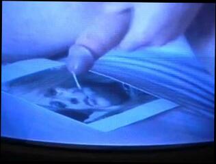 Video 101173001: avril lavigne, gay man cumshot, guy jerkoff