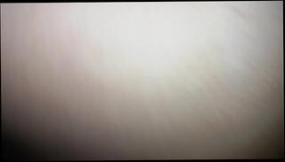 Video 433949125: pov riding, big booty pounded