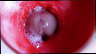 Video 1623328653: pov ass fetish, fetish pov blowjob, solo male pov, solo pov hot, pov blowjob anal cock, pov blowjob hardcore anal, amateur pov blowjob hardcore, pov big cock anal, toy fetish cock, pov big dick blowjob, pov pussy toying, milking huge cock, big hard cock pov, solo close cock, solo male moaning, vagina pov, milk inside, hole milking, red head pov, wet milk, pov camera