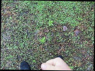 Video 1618990081: solo cock masturbation cum, solo masturbation nude, white cock solo masturbation, solo masturbation naked, solo masturbation jerk, solo jerk cumshot, solo jerk gay, solo men masturbating, solo public masturbation, solo outdoor masturbation, man solo jerk, solo masturbation hd, solo outside, park nude, american nude