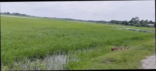 Video 1631322141: femboy solo cum, femboy solo masturbation, teen femboy solo, amateur femboy solo, cute femboy solo, asian femboy solo, solo boy masturbating cum, solo gay boy masturbates, solo cock masturbation cum, dick solo masturbating cumming, teen shemale solo cum, big cock femboy cum, masturbation indian boy solo, femboy fuck boy, boy masturbating hot solo, young boy solo masturbation, sexy femboy fucked, solo boy handjob, solo straight boys, solo bathroom masturbation, teen femboy old man, panties solo masturbation, thick cock solo, solo public masturbation, japanese solo cum, solo masturbation hd, toilet solo, bike, help young boy