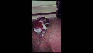 Video 1627336683: double dildo machine sex, double penetration anal gape, sex dildo toys solo, gaping prolapsed ass, amateur double dildo, solo male dildo, ass stretching double anal, ass hole